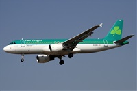 Alfonso Sols - Asociacin Canary Islands Spotting. Click to see full size photo