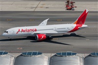 ©Adolfo Bento - Gran Canaria Spotters. Click to see full size photo ©Adolfo Bento - Gran Canaria Spotters. Click to see full size photo