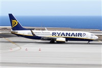 Nacho Rodriguez - Canary Islands Spotting. Click to see full size photo