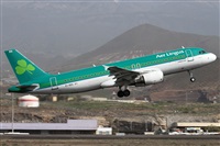 Alfonso Sols - Asociacin Canary Islands Spotting. Click to see full size photo