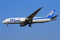 Miguel A. gueda Rguez.  (CANARY ISLANDS SPOTTING). Click to see full size photo