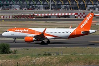 ©Alfonso Solís - Asociación Canary Islands Spotting. Click to see full size photo ©Alfonso Solís - Asociación Canary Islands Spotting. Click to see full size photo