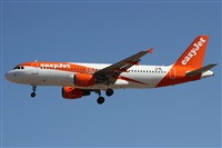 Alfonso Sols - Asociacin Canary Islands Spotting. Haz click para ampliar