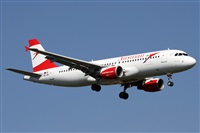 Alfonso Sols - Asociacin Canary Islands Spotting. Click to see full size photo