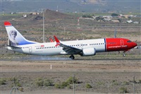 Miguel A. gueda Rguez.  (CANARY ISLANDS SPOTTING). Click to see full size photo