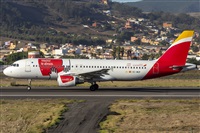©Daniel Santos Batista - Canary Islands Spotting. Click to see full size photo ©Daniel Santos Batista - Canary Islands Spotting. Click to see full size photo
