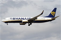 Alfonso Sols - Asociacin Canary Islands Spotting. Click to see full size photo