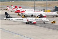 Javier de la Cruz - CANARY ISLANDS SPOTTING. Click to see full size photo