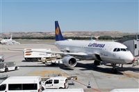 Nacho Rodriguez - Canary Islands Spotting. Click to see full size photo