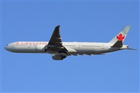 Miguel A. gueda Rguez.  (CANARY ISLANDS SPOTTING). Click to see full size photo