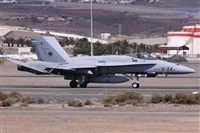 Alfonso Sols - Asociacin Canary Islands Spotting. Haz click para ampliar