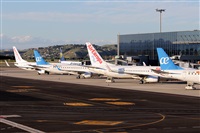 La Roche Spotters. Click to see full size photo