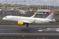 ©Luis Rguez - La Palma Spotting. Click to see full size photo ©Luis Rguez - La Palma Spotting. Click to see full size photo