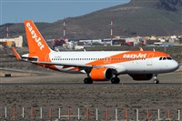 Alfonso Sols - Asociacin Canary Islands Spotting. Click to see full size photo