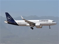©J. Victor Vega-Gran Canaria Spotters. Click to see full size photo ©J. Victor Vega-Gran Canaria Spotters. Click to see full size photo