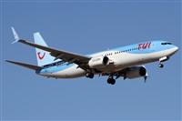 Alfonso Sols - Asociacin Canary Islands Spotting. Haz click para ampliar