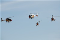 Miguel Martin Cordeiro - Iberian Spotters. Click to see full size photo
