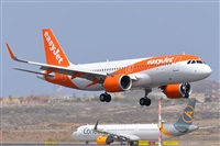 Miguel A. gueda Rguez.  (CANARY ISLANDS SPOTTING). Click to see full size photo