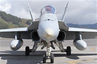 Miguel A. gueda Rguez.  (CANARY ISLANDS SPOTTING). Click to see full size photo