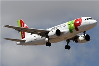 Alfonso Sols - Asociacin Canary Islands Spotting. Click to see full size photo