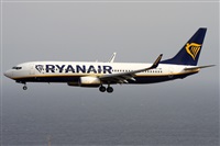 Alfonso Sols - Asociacin Canary Islands Spotting. Haz click para ampliar