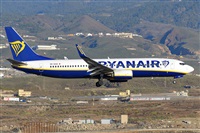 Miguel A. gueda Rguez.  (CANARY ISLANDS SPOTTING). Click to see full size photo