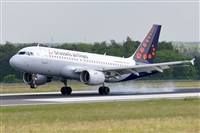 Miguel A. gueda Rguez.  (CANARY ISLANDS SPOTTING). Click to see full size photo