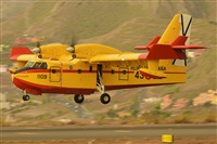 Miguel A. gueda Rguez.  (CANARY ISLANDS SPOTTING). Click to see full size photo