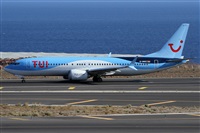 Alfonso Sols - Asociacin Canary Islands Spotting. Click to see full size photo