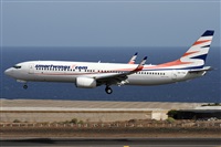 ©Alfonso Solís - Asociación Canary Islands Spotting. Click to see full size photo ©Alfonso Solís - Asociación Canary Islands Spotting. Click to see full size photo