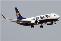 Alfonso Sols - Asociacin Canary Islands Spotting. Haz click para ampliar