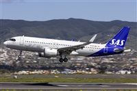 Daniel Santos Batista - Canary Islands Spotting. Click to see full size photo