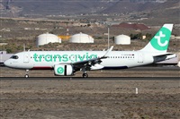 ©Alfonso Solís - Asociación Canary Islands Spotting. Click to see full size photo ©Alfonso Solís - Asociación Canary Islands Spotting. Click to see full size photo