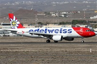 Alfonso Sols - Asociacin Canary Islands Spotting. Haz click para ampliar