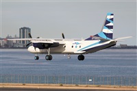 Adrin Alonso Lemes - Lanzarote Spotters. Click to see full size photo