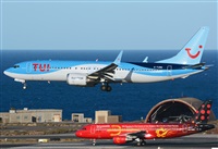 ©Alejandro H.L - Gran Canaria Spotters. Click to see full size photo ©Alejandro H.L - Gran Canaria Spotters. Click to see full size photo