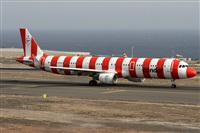 Alfonso Sols - Asociacin Canary Islands Spotting. Click to see full size photo