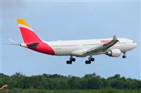 Miguel A. gueda Rguez.  (CANARY ISLANDS SPOTTING). Click to see full size photo