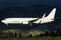 Diogo da Conceio. Click to see full size photo