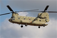 Juan Ojados. Click to see full size photo