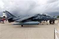 ©Javier Rodríguez. Click to see full size photo ©Javier Rodríguez. Click to see full size photo