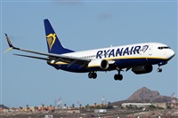 �Alfonso Sol�s - Asociaci�n Canary Islands Spotting. Click to see full size photo