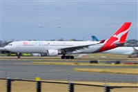 �Miguel A. �gueda Rguez.  (CANARY ISLANDS SPOTTING). Click to see full size photo