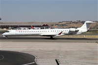 �Alfonso Sol�s - Asociaci�n Canary Islands Spotting. Click to see full size photo