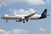�Alfonso Sol�s - Asociaci�n Canary Islands Spotting. Click to see full size photo