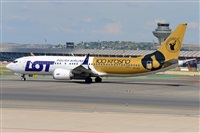 �Miguel A. �gueda Rguez.  (CANARY ISLANDS SPOTTING). Click to see full size photo