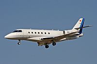Jos Miguel Bernases - Noisy Spotters. Click to see full size photo