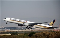 Rubn Gil - Noisy Spotters. Click to see full size photo