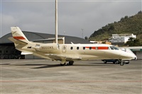 Javier de la Cruz - CANARY ISLANDS SPOTTING. Haz click para ampliar