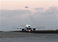 Agustin Delgado Ramos-  Canary Islands Spotting -. Haz click para ampliar
